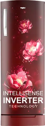 Whirlpool 207 L Direct Cool Single Door 5 Star Refrigerator with Base Drawer  (Wine Abyss, 230 IMPRO ROY 5S INV WINE ABYSS-Z)